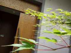 -苏州清山会议中心