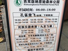 -西双版纳原始森林公园
