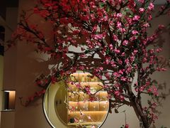 -觅唐MITONG(鸟巢店)