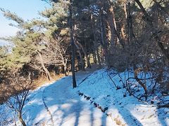 -鲁山国家森林公园