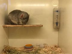 -龙猫仔乐园(惠福东路店)