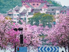 -程阳八寨景区