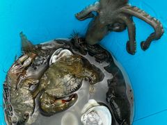 -宁波松兰山滨海旅游度假区