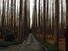 iphone_upload_pic-上海怡沁园度假酒店