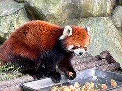 -常州淹城野生动物世界