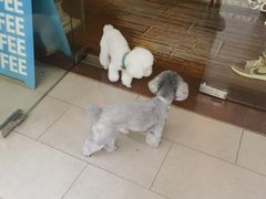 -默迹咖啡馆