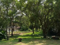 -玫瑰海岸文化旅游度假区