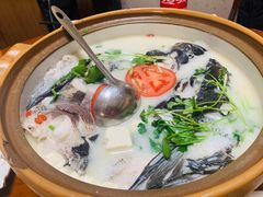 -全乐鱼馆·淳牌有机鱼直营店