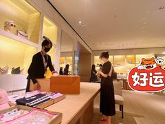 -LV路易威登(王府井半岛酒店)