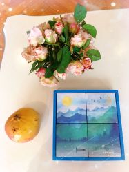 -月之旅·尊 高端月子会所(科馨别墅一店)