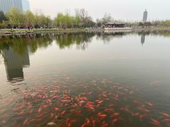 -西海子公园
