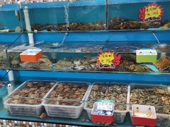水产区-港畔赶海蒸汽海鲜烧烤自助(仙螺岛店)