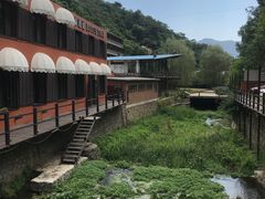 -Local泰莲庭(虹鳟鱼店)
