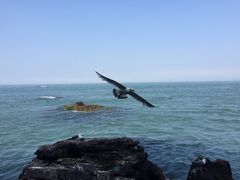 -海驴岛(荣成市)