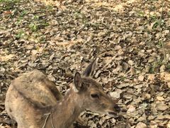 -上海交通大学(闵行校区)