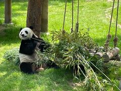 -上海野生动物园