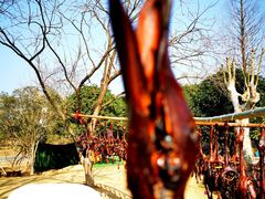 -杭州六谷生态休闲农庄有限公司