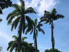 -新加坡飞禽公园