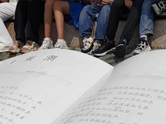 -观潮胜地公园