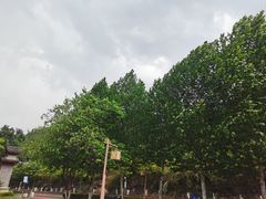 -816工程景区