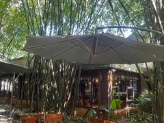 -勐丽梦兰傣味餐厅