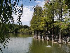 -东莞市可园博物馆