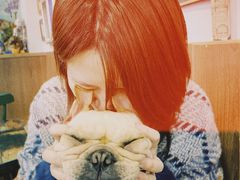 -柯斗斗主题餐厅·狗咖·围炉煮茶·茶饮(国瑞升平里店)