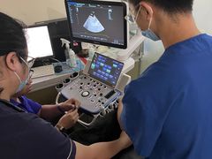 -宠物星动物医院·眼科·异宠·猫科(江南大道总院)