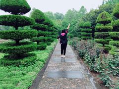 -洛阳市隋唐城遗址植物园