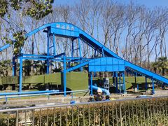 -上海共青森林公园