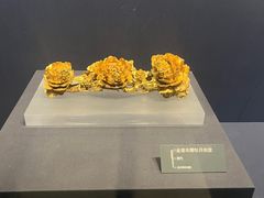 -温州博物馆