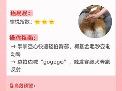 -FAELING PETS美天灵宠物(合生汇店)