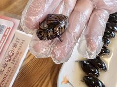 -美未居·老字号·地道顺德菜·桑拿鸡·鱼生(容桂店)