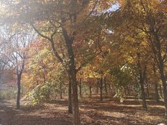 -长春世界雕塑园冰雪艺术天地