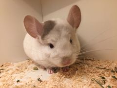 -龙猫仔乐园(惠福东路店)