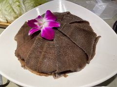 -蝎王府羊蝎子(西直门店)