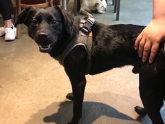 -Cactus墨西哥仙人掌餐厅