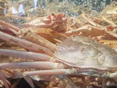 -徐记海鲜(梅溪新天地店)