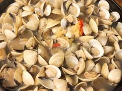 -拾下卜卜贝•海鲜火锅