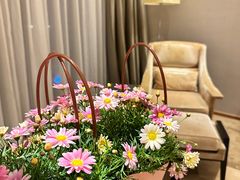 -广州天河合景福朋喜来登酒店