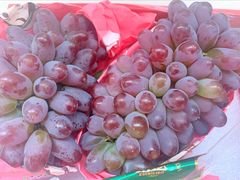-鲜力达果品批发直销(青山店)