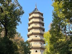 -灵谷景区