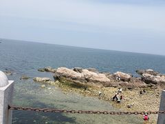 -养马岛旅游度假区