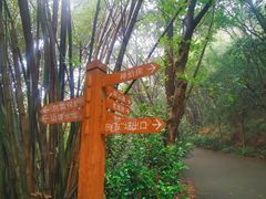 -滴水岩森林公园