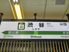 -涩谷区