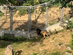 -石家庄市动物园