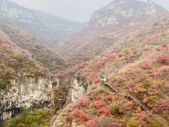 -黄花溪