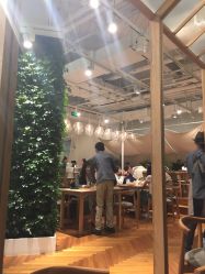 -悦诗风吟innisfree