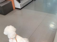 -半岛宠物医院24小时(科华中路店)