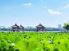 -长春市南湖公园